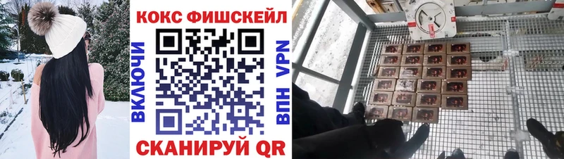 Купить где  Томари  Cocaine 98% 