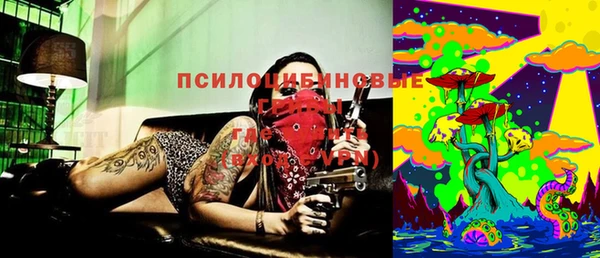 дмт Балахна