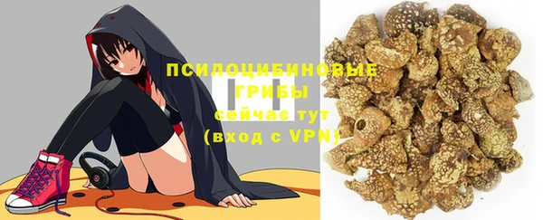 дмт Балахна