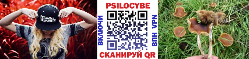 Псилоцибиновые грибы MAGIC MUSHROOMS  Купить  Томари 